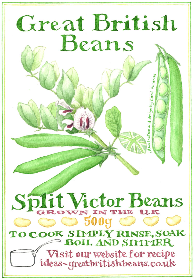Postcard designed by Carol Kearns for the Great British Bean project